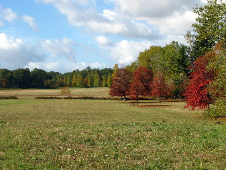 Molalla River State Park, Oregon, USA